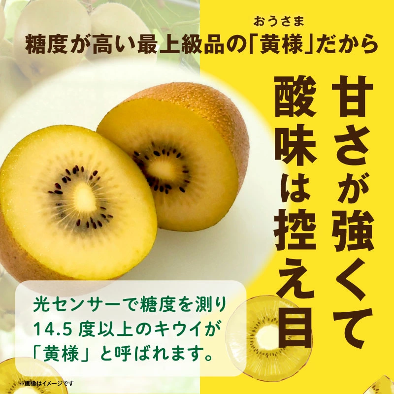 M02-0151_ããã¬ãè®ãã«ãŒãããã¬ããŽãŒã«ãããŠã€(黿§)çŽ1.5kgåç²§ç®±å
¥ã