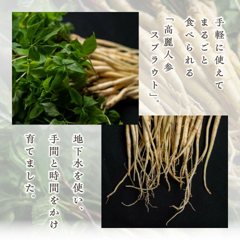 M145-0005_蝗帛嵜逋コ鬮倬コ嶺ココ蜿ゅせ繝励Λ繧ヲ繝医1蟷エ譬ケ8譛ャシ育エ20g縲∝ィ髟キ25cm菴搾シ