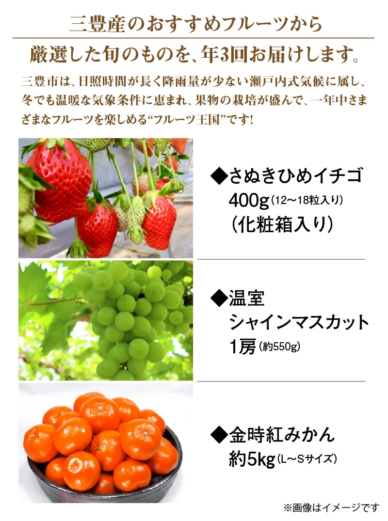 M02-0134_äžè±åžç£ 人æ°ã®å³éžãã«ãŒãå®æäŸ¿(幎3å)