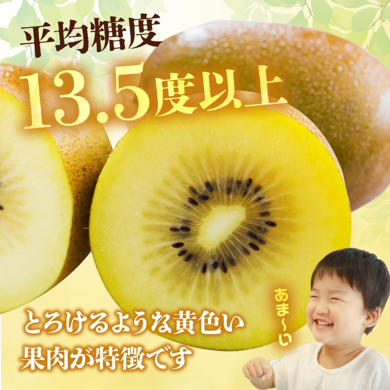 M72-0010_【10月中旬より】さぬきゴールドキウイ「黄様」16個入り【数量限定】