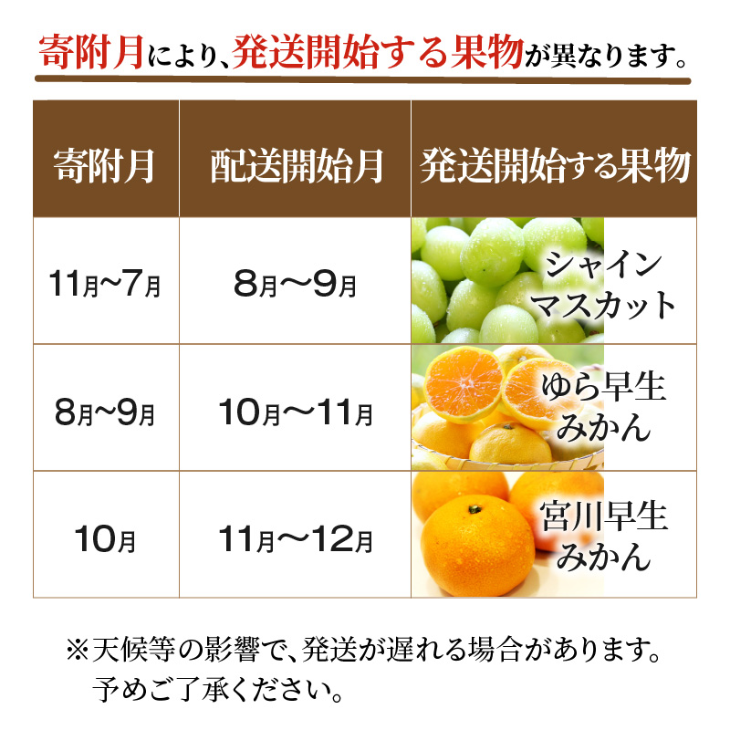 M64-0053_ããµãããšçŽçšãç£å°å³éžäžè±ã®ãã«ãŒã3åå®æäŸ¿ M