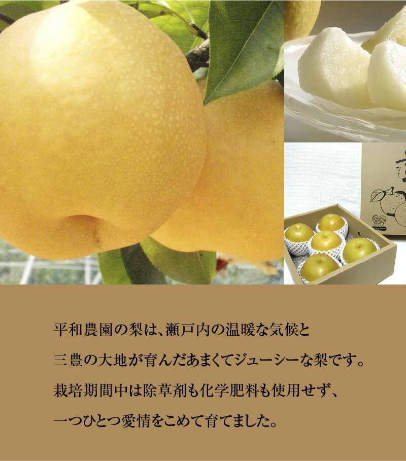 M32-0007_【10月お届け】数量限定!平和農園 新高梨<約2kg>