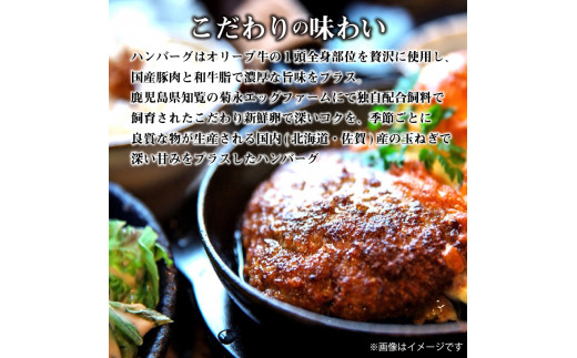 M04-0064_オリーブ牛 ハンバーグ6袋・牛すき丼4袋セット s-15