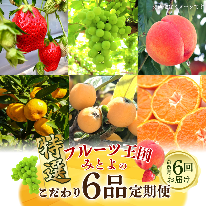 M02-0135-R_【ふるさと納税】フルーツ王国みとよの特選こだわり6品(奇数月)定期便