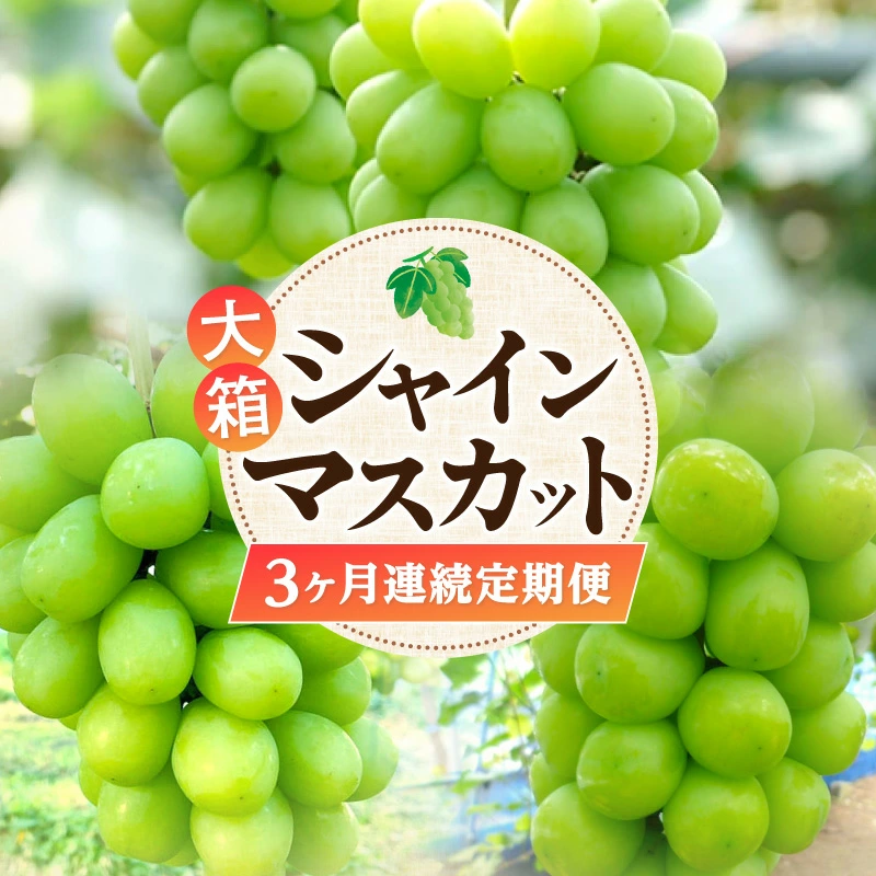 M02-0202_【ふるさと納税】大箱シャインマスカット3ヶ月連続定期便