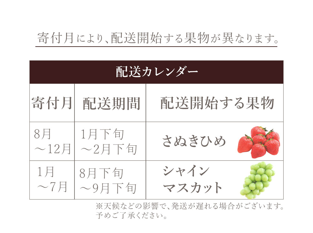 フルーツ定期便 2回 三豊市 さぬきひめいちご 400g 特大シャインマスカット 800g【配送不可地域：北海道・沖縄県・離島】_M02-0205