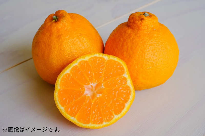 M102-0010_ 蜴ウ驕ク繝繧ウ繝昴Φ (邏3kg)