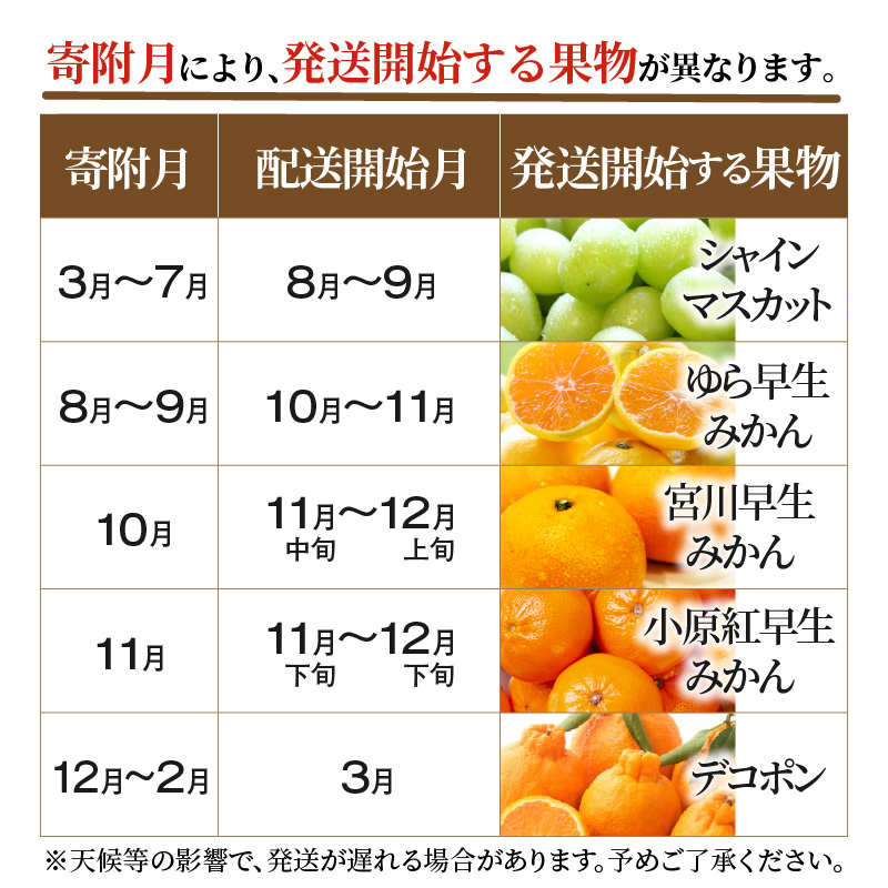 M64-0076_産地厳選三豊のフルーツ5回定期便 H