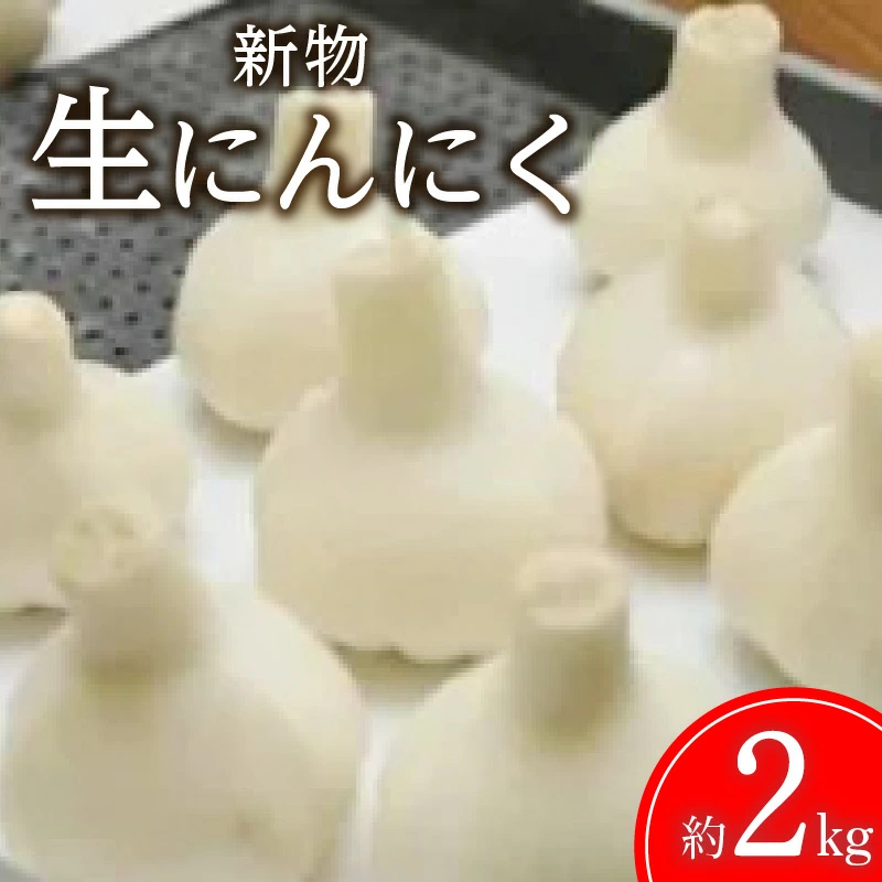 M02-0077_【ふるさと納税】【新物】生にんにく 約2kg