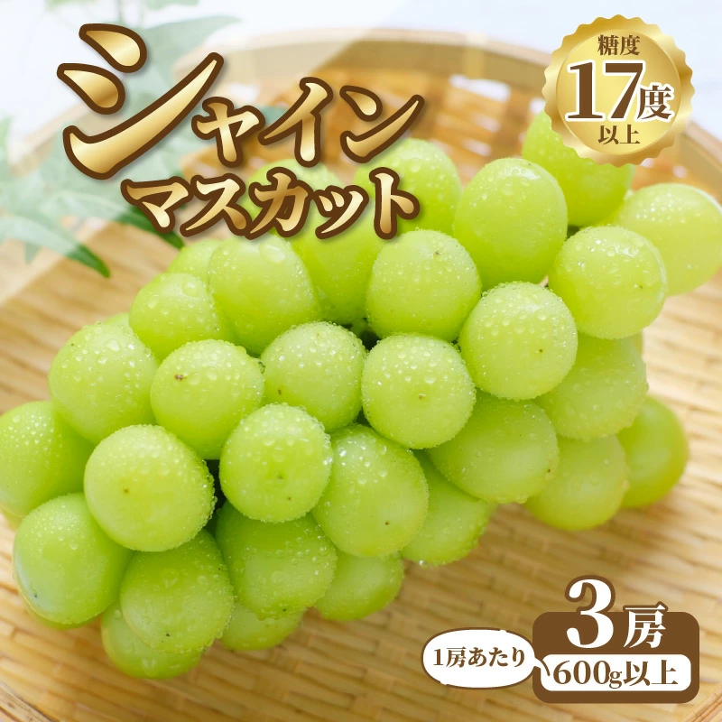 M64-0010_【ふるさと納税】【9月上旬より発送】シャインマスカット3房【600g以上】【糖度17度以上】