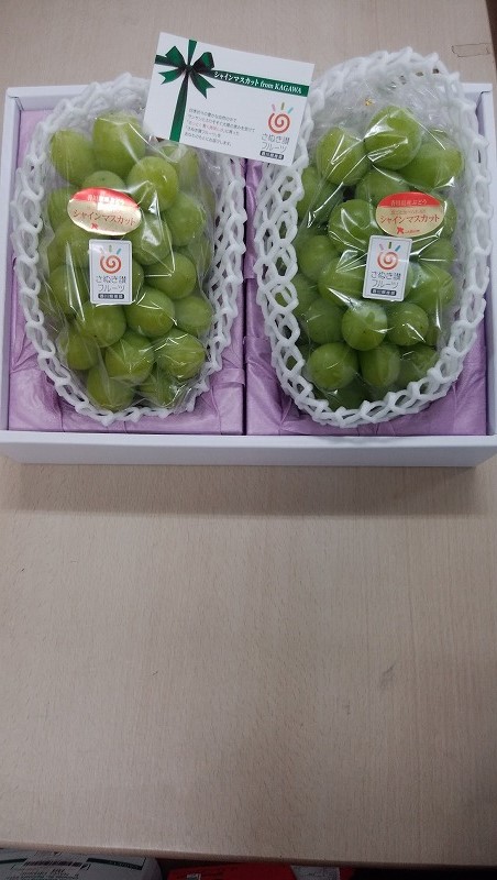 M72-0008_【8月20日から】【さぬき讃フルーツ】シャインマスカット 大房2房(化粧箱入り)