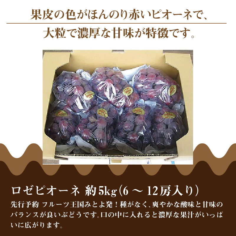 M02-0067_ロゼピオーネ 約5kg