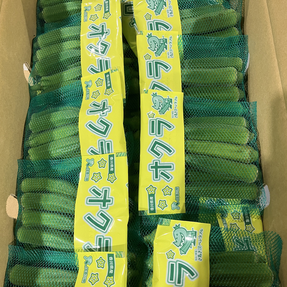 M02-0219_オクラ　約2.1kg