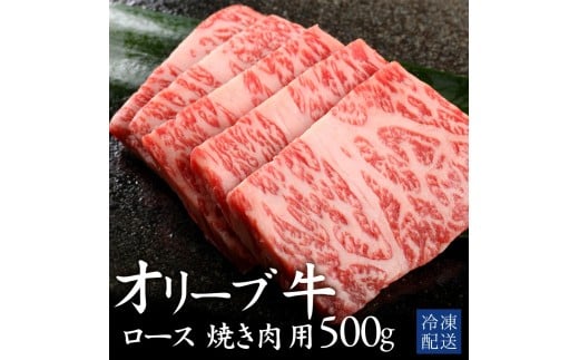 M183-0010_【ふるさと納税】オリーブ牛ロース焼肉用　500g