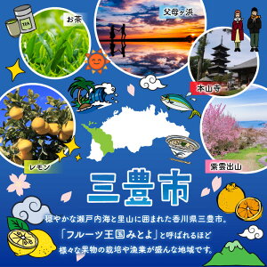 M01-0011_香川県産アスパラガス（県オリジナル品種：さぬきのめざめ）1ｋｇ