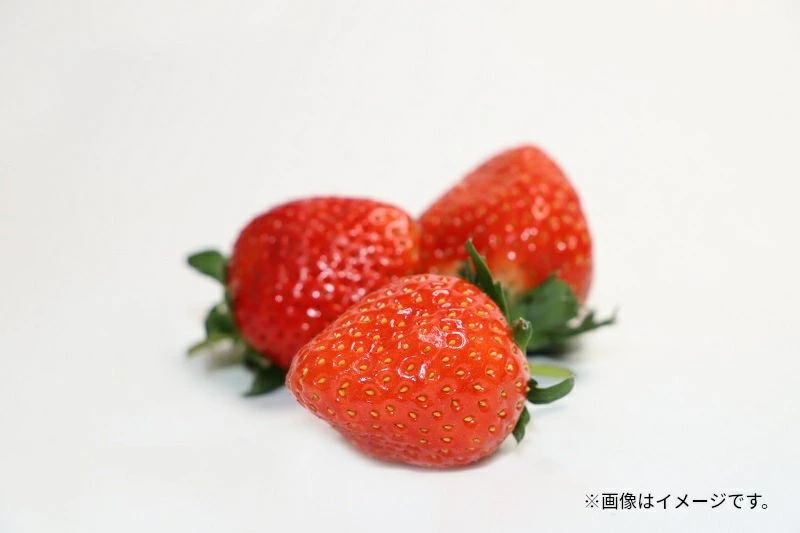 M102-0005_さぬき姫いちご (250g×12パック)