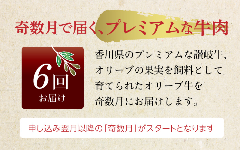 M04-0070_オリーブ牛満喫肉セット(奇数月 全6回)【定期便】