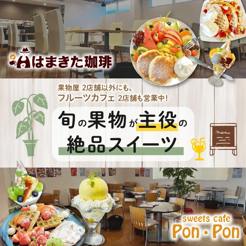 M102-0037_【ふるさと納税】【配送不可地域:北海道・沖縄県・離島】桃 7月 ニュー ピオーネ 8月 シャインマスカット 9月 約3kg 小原紅早生 みかん 12月 約2kg せとか デコポン 2月 さぬき姫 イチゴ 約500g 1月 定期便 果実 鮮度 老舗 旬 フルーツ王国 香川県 三豊市 送料無料