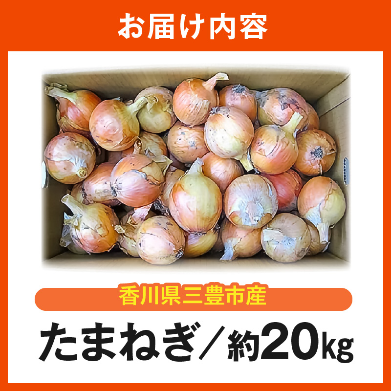 M02-0054_三豊市のたまねぎ 約20kg