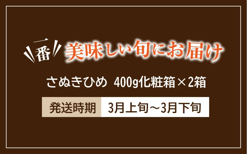 M02-0017_【ふるさと納税】【3月上旬～3月下旬】香川県オリジナルいちご 「さぬきひめ」 400ℊ化粧箱☓2箱