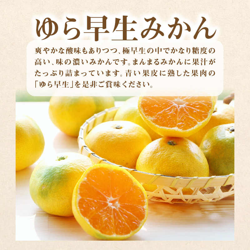 M64-0039_ããµãããšçŽçšãç£å°å³éžäžè±ã®ãã«ãŒã3åå®æäŸ¿E