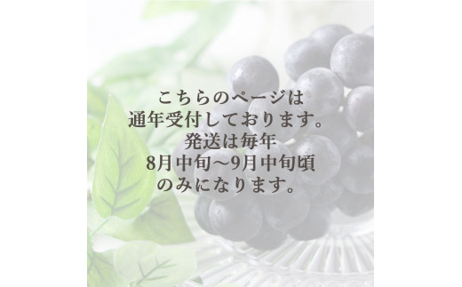 M64-0085_繝斐が繝シ繝 荳芽ア雁クら肇 1.2kg 2縲3謌ソ