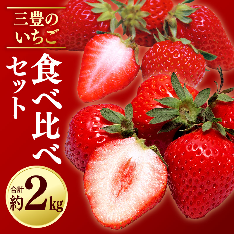 M02-0150_【ふるさと納税】【年内発送】三豊のいちご食べ比べセット 約2kg