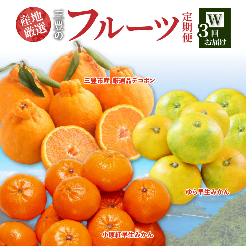 M64-0062_【ふるさと納税】産地厳選三豊のフルーツ3回定期便 W