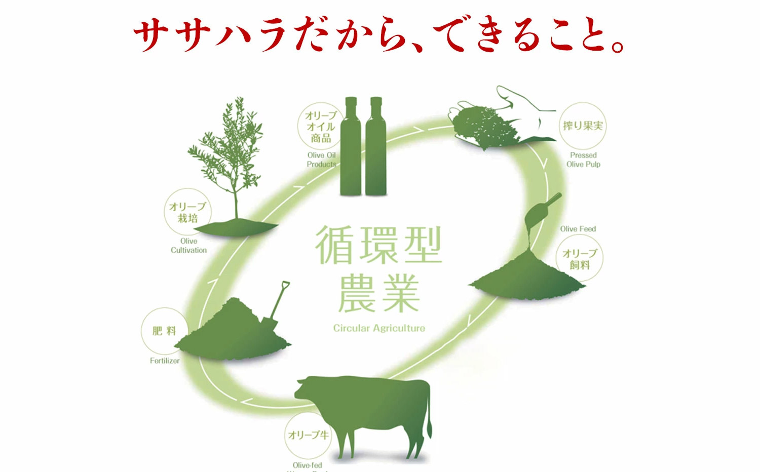 M04-2013_オリーブ三畜 肉おせち重セット