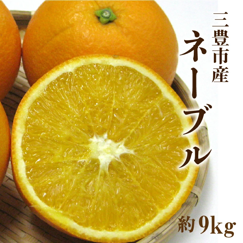 M02-0115_三豊市産 ネーブル約9kg(36〜60玉)