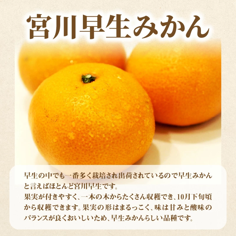 M64-0077_ããµãããšçŽçšãç£å°å³éžäžè±ã®ãã«ãŒã7åå®æäŸ¿ B