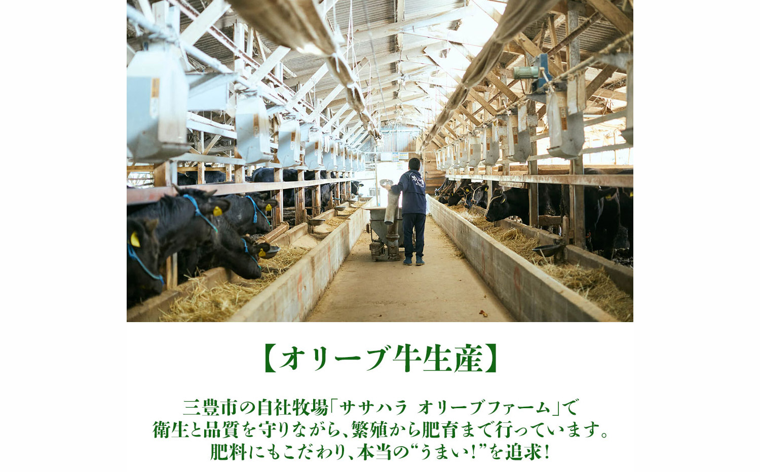 M04-2013_オリーブ三畜 肉おせち重セット