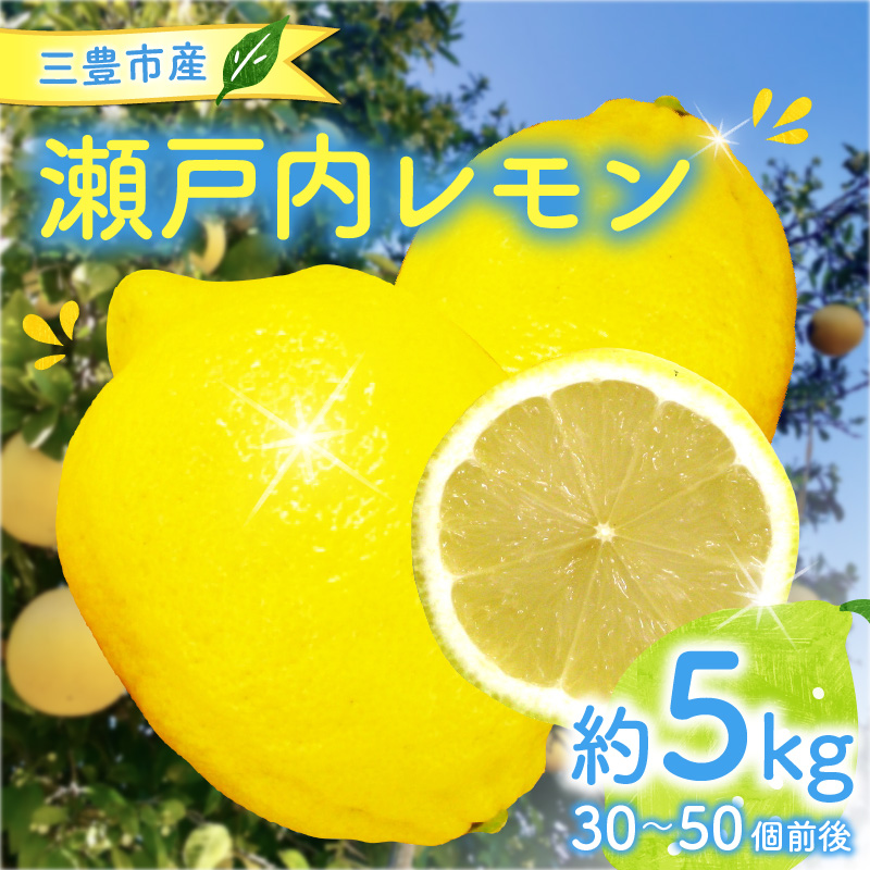 M02-0018_【ふるさと納税】三豊市産瀬戸内レモン約5kg(30～50個前後)