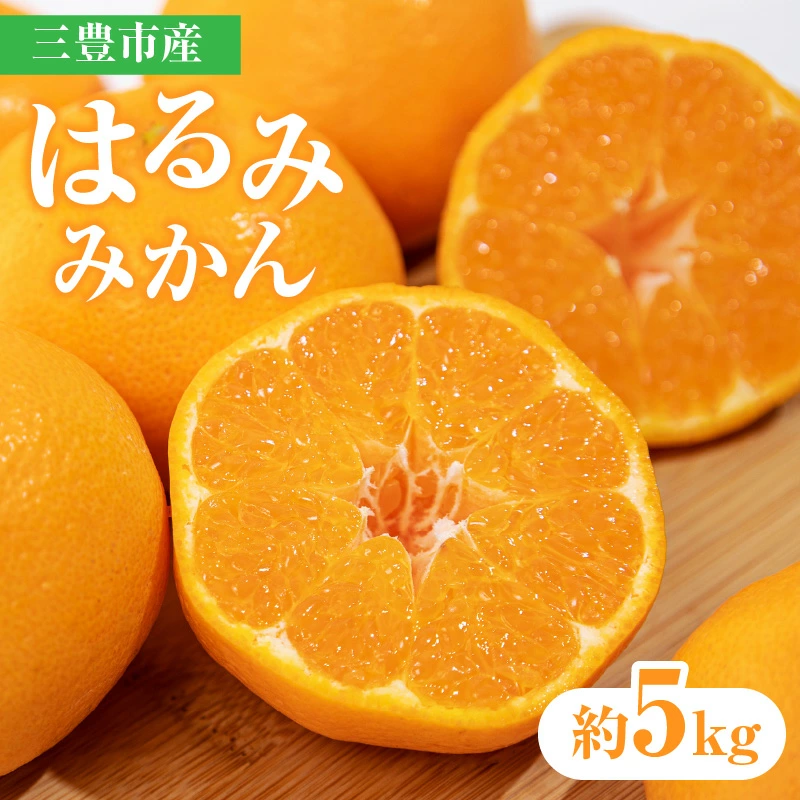 M02-0088_【ふるさと納税】三豊市産はるみみかん 約5kg