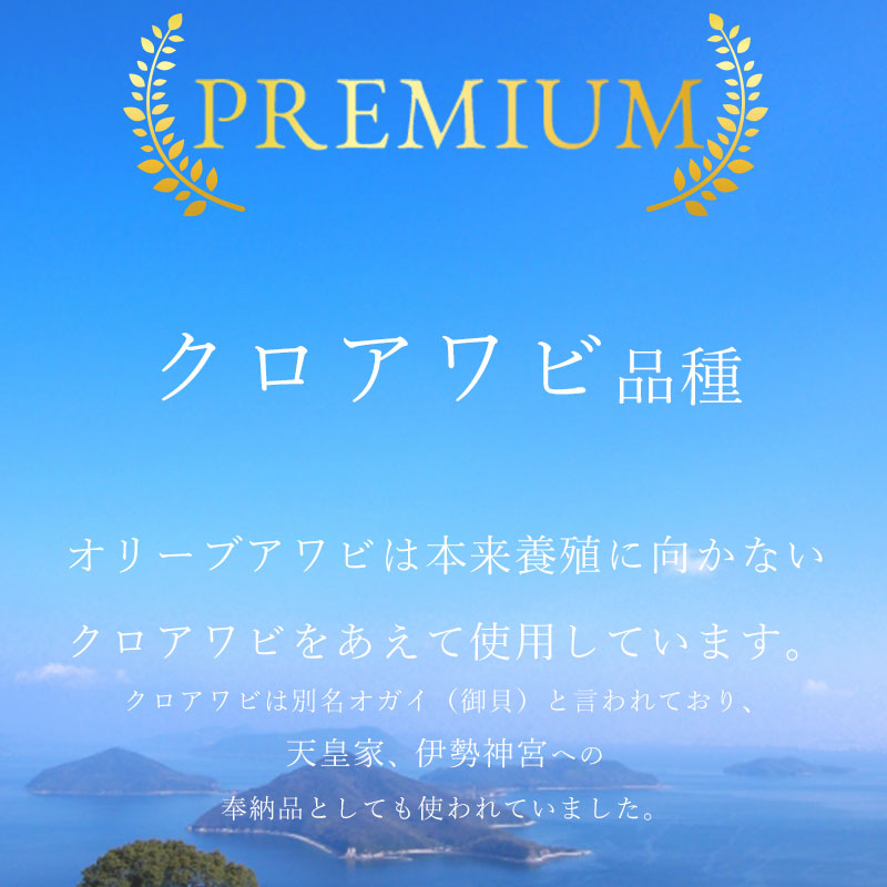 オリーブあわび　約1kg（10〜12個程度）×6回　定期便殻付き【配送不可地域：北海道・東北・沖縄県・離島】_M77-0006