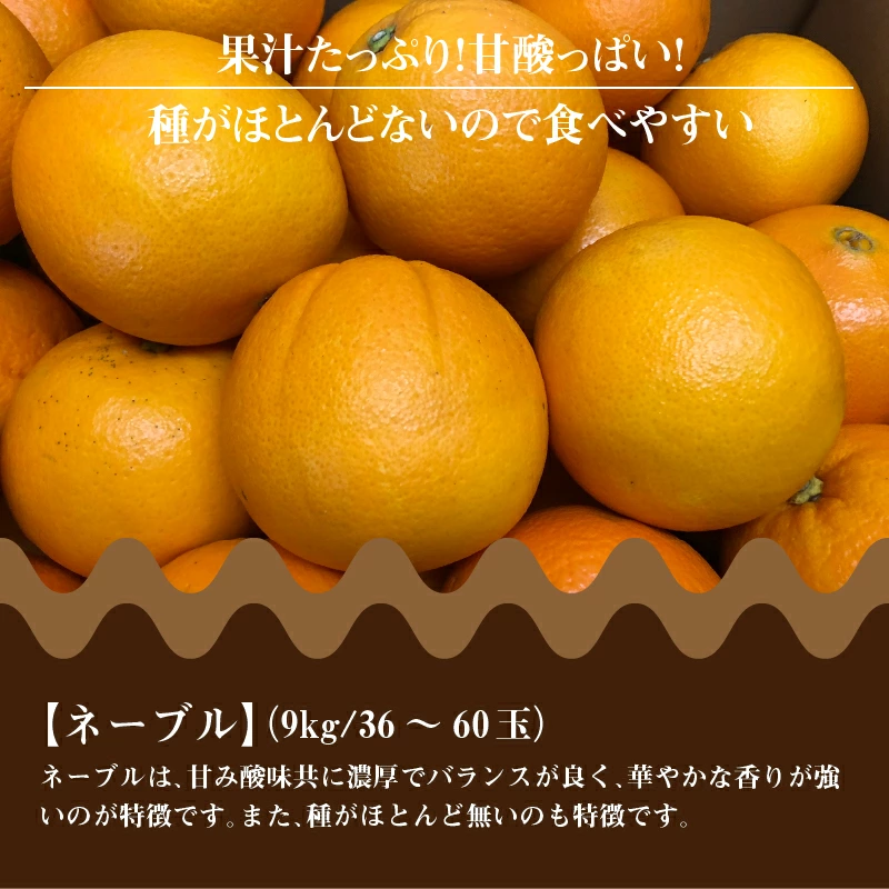 M02-0115_三豊市産 ネーブル約9kg(36〜60玉)