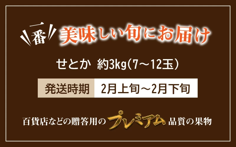 とろける食感 「せとか」 約3kg化粧箱入り_M02-0025