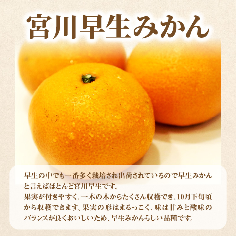 M64-0070_ããµãããšçŽçšãç£å°å³éžäžè±ã®ãã«ãŒã4åå®æäŸ¿ H