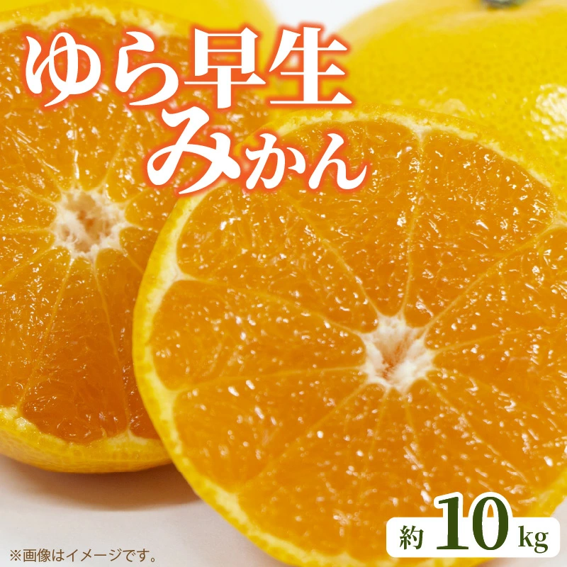 M02-0107_繧繧画掠逕溘∩縺九s 邏10kg