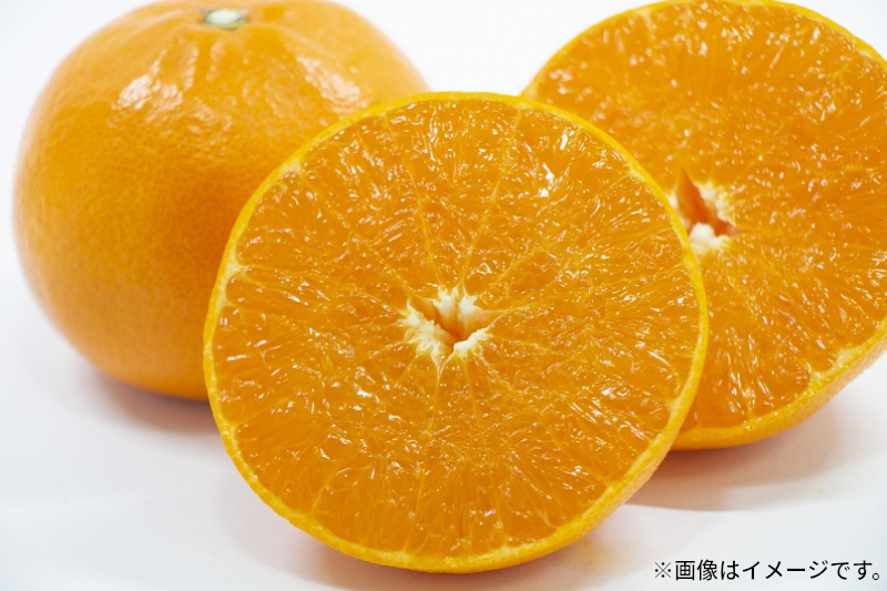 M102-0009_せとか (約3kg)