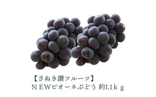 M72-0030_【ふるさと納税】NEWピオーネぶどう 約1.1kg