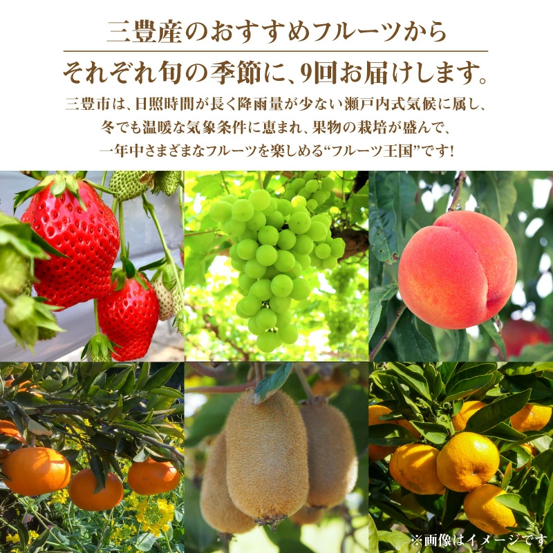 M02-0131-R_フルーツ王国みとよの特選こだわり9品定期便