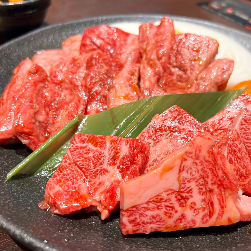 M154-0008-0_【ふるさと納税】毎月お届け3回 旨辛ハラミ　500g×2