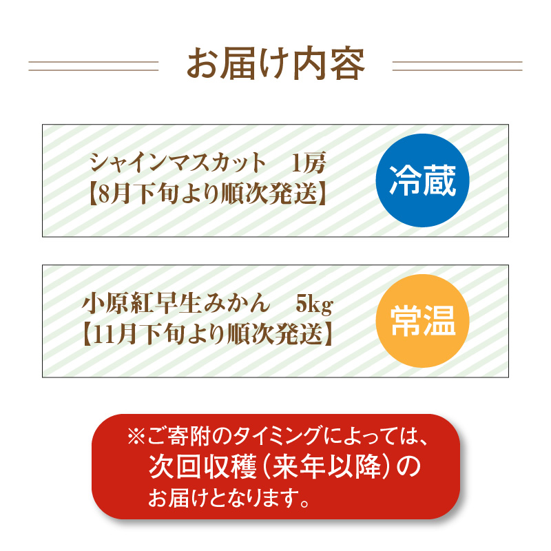 M64-0042_äžè±åžãã«ãŒã2åãå±ãå®æäŸ¿ F