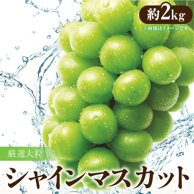 M02-0034_】厳選大粒 「シャインマスカット」 約2kg