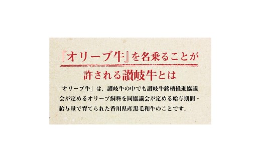 M04-0074_オリーブ牛 ハンバーグ2袋セット