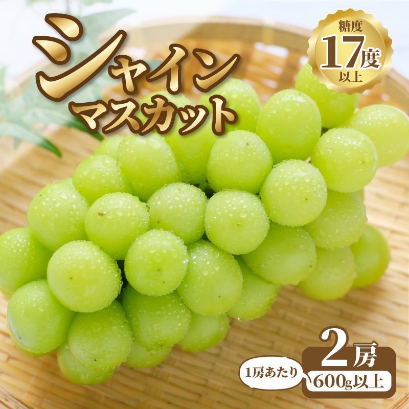 M64-0009_【ふるさと納税】【9月上旬より発送】シャインマスカット2房【600g以上】【糖度17度以上】