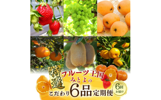 M02-0210_【ふるさと納税】フルーツ王国みとよの特選こだわり6品