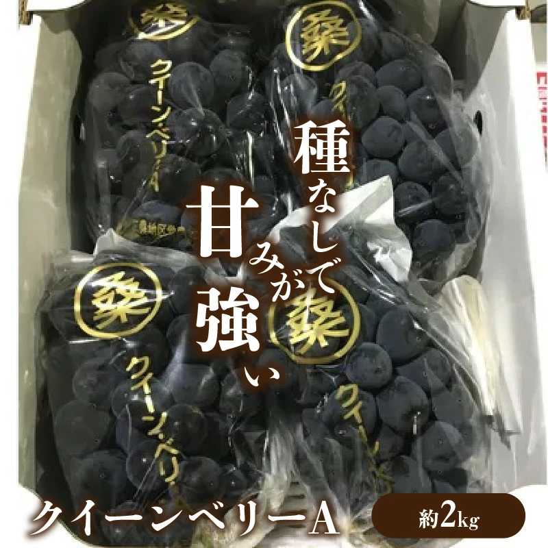 M02-0060_クイーンベリーA 約2kg
