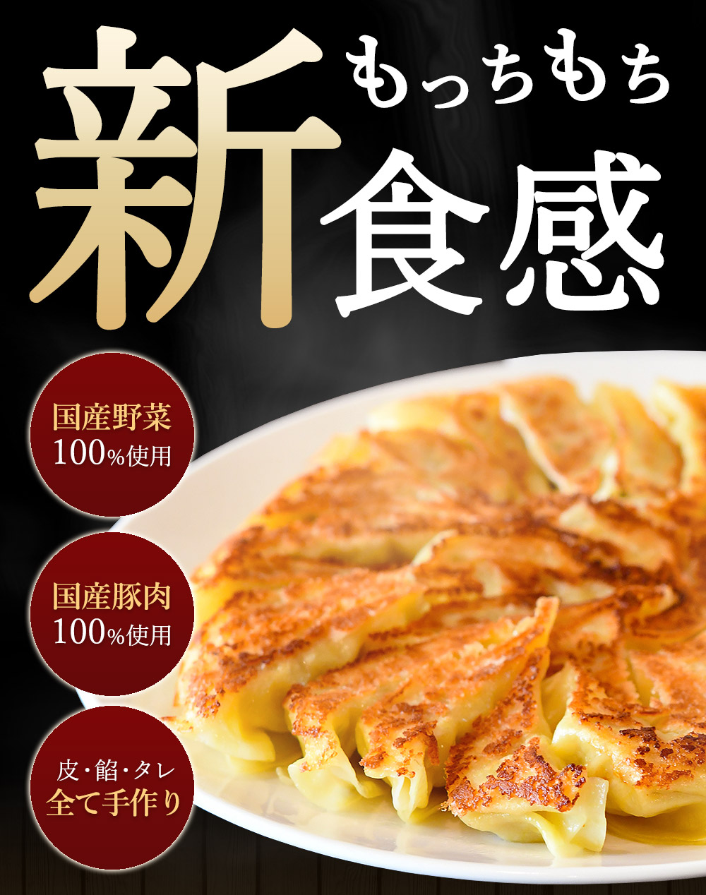 生パスタ生地で包んだ正統派の餃子「ラビオリ餃子」30個入り×2ケース（特製タレ付）【冷凍】_M86-0001